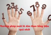 Phương pháp nuôi lô dàn theo tổng hiệu quả nhất